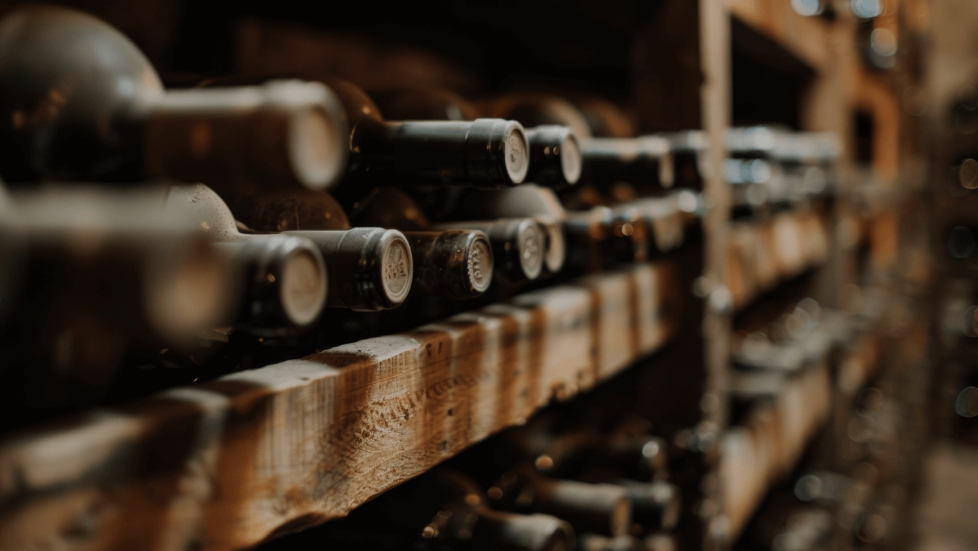 Entdecken sie die welt der weine vom Triglav bis zum Vardar